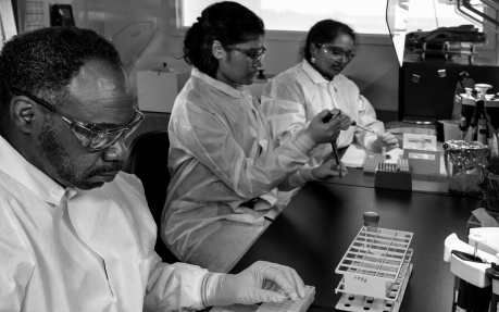 Fatores Culturais e Organizacionais que Afetam a Inovação e a Competitividade no Brasil